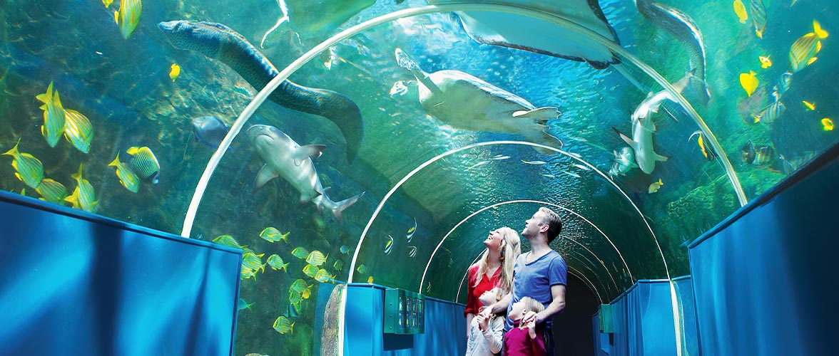 3 Steps for Planning a Great School Trip to the Oceanarium 
